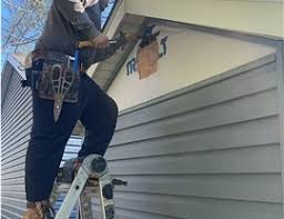 Best Siding Painting and Refinishing  in Lone Star, TX